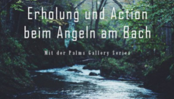 Der ideale Begleiter für den Bach - Die Palms Gallery Serie