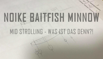 NEU im NOIKE Lineup - ProtoName Baitfish